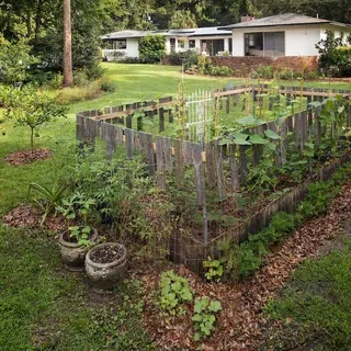 thumbnail for publication: Vegetable Gardening in Florida